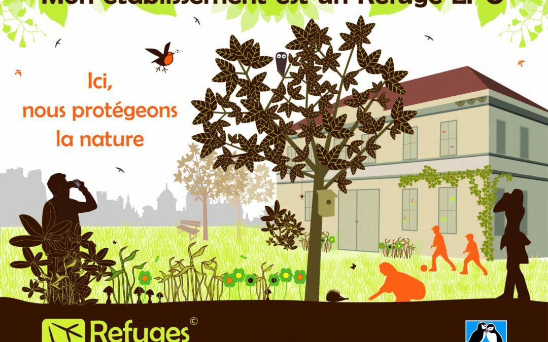 La cité scolaire : un refuge pour la nature