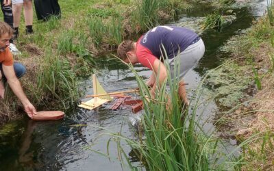 Les 1MF au fil de l’eau