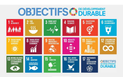 Les objectifs de développement durable : une exposition jusqu’au 8 octobre au CDI